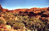 Kings Canyon walk (click for enlargement)